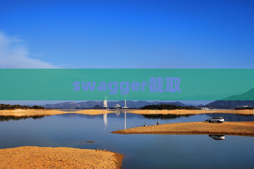 swagger截取